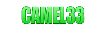 Logo CAMEL33